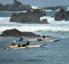 Surf Training